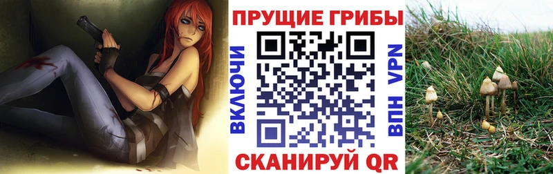mega сайт Павлово Псилоцибиновые грибы мухоморы